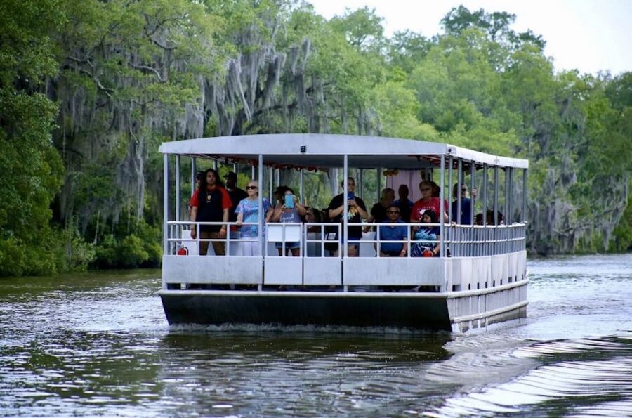 New Orleans: Swamp Tour on Covered Pontoon Boat - Key highlights to know before you go