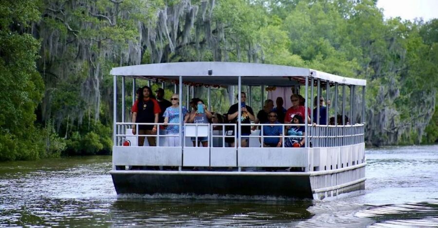 New Orleans: Swamp Tour on Covered Pontoon Boat - Covered Pontoon vs. Airboat Noise: Why this ride feels easier