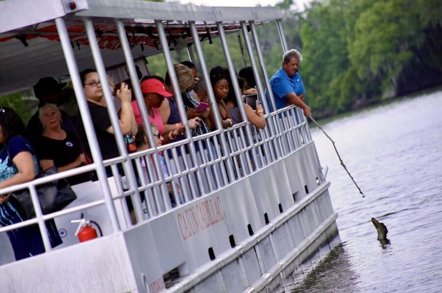 New Orleans: Swamp Tour on Covered Pontoon Boat - Wildlife spotting strategy: what to watch for during the ride