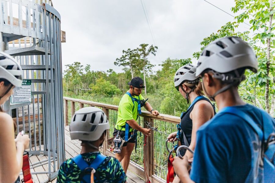 New Orleans: Swamp Zipline Tour - Swamp wildlife you can actually spot from above