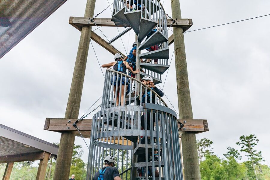 New Orleans: Swamp Zipline Tour - Price and time: does $89 feel fair for 90 minutes?