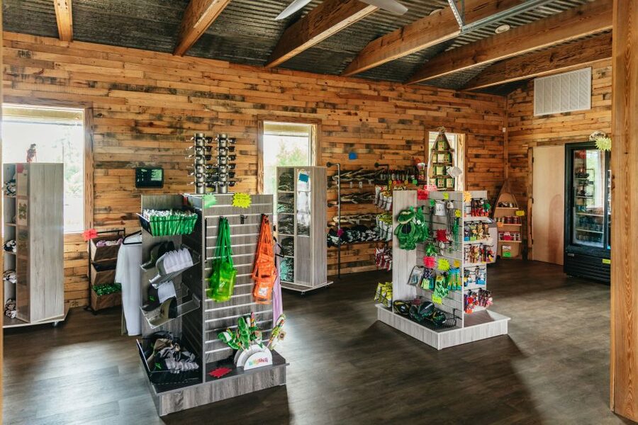 New Orleans: Swamp Zipline Tour - Who should (and shouldn’t) book Zip NOLA