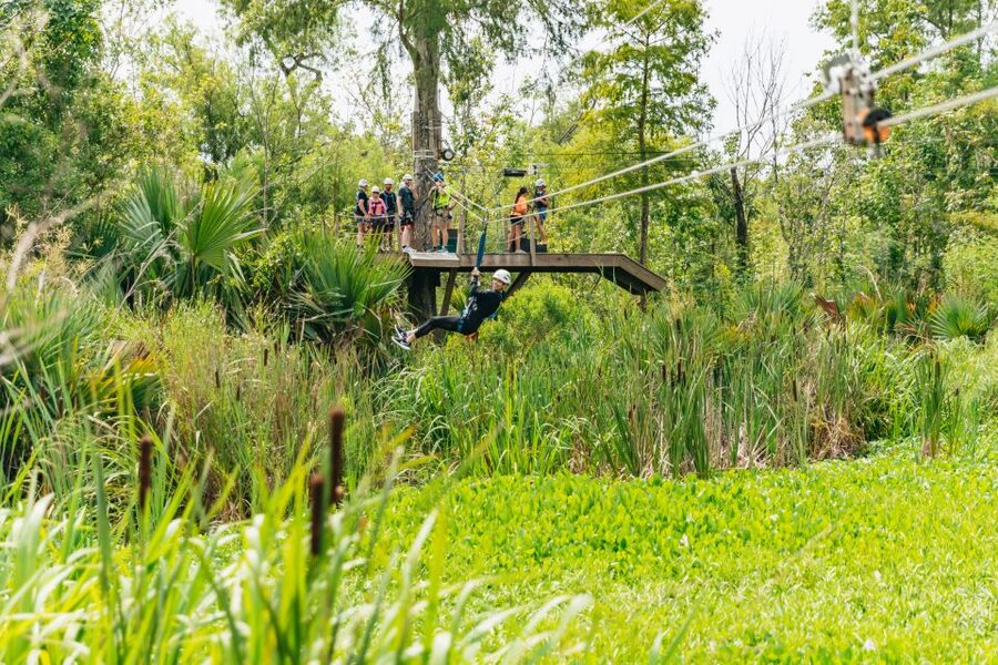 New Orleans: Swamp Zipline Tour - Should you book this New Orleans swamp zipline?