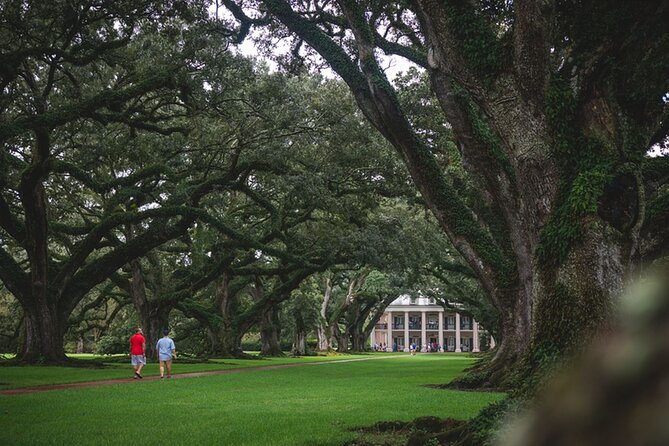 New Orleans Walking Tour: Garden District Stories - A short break: grab a drink and reset your legs