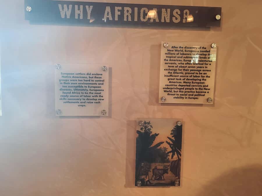 New Orleans: Whitney Plantation Half-Day Tour (Guided Tour) - Key highlights