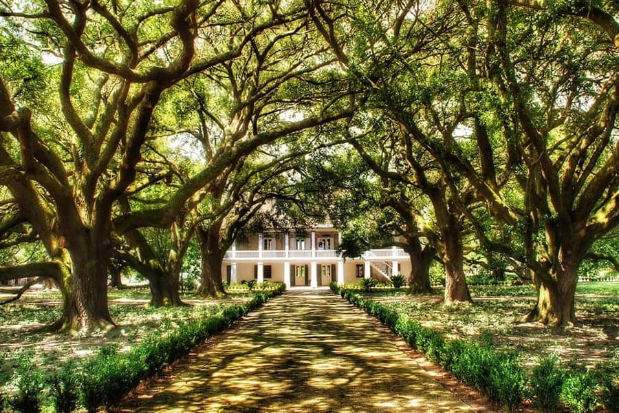 New Orleans: Whitney Plantation Tour with Transportation - Key points you’ll care about before you go