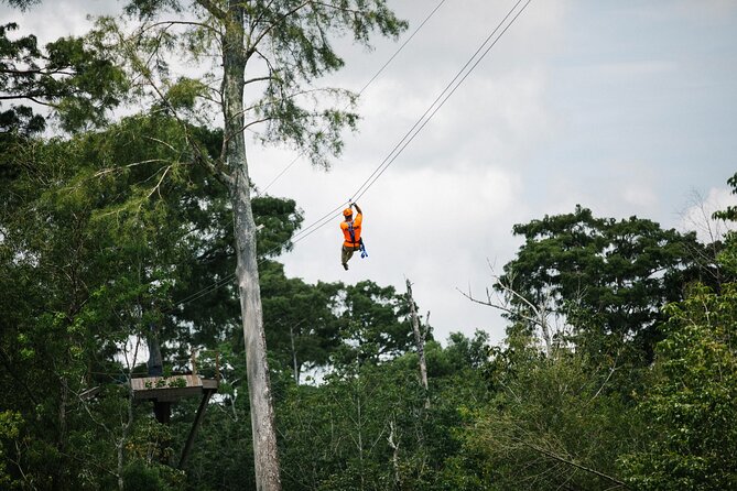 New Orleans Zipline Swamp Tour - Quick Highlights at a Glance