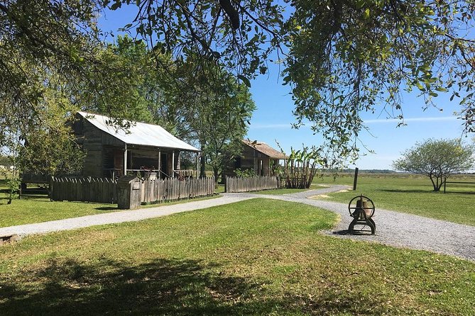 Oak Alley or Laura Plantation Tour from New Orleans - Should you book this New Orleans plantation tour?