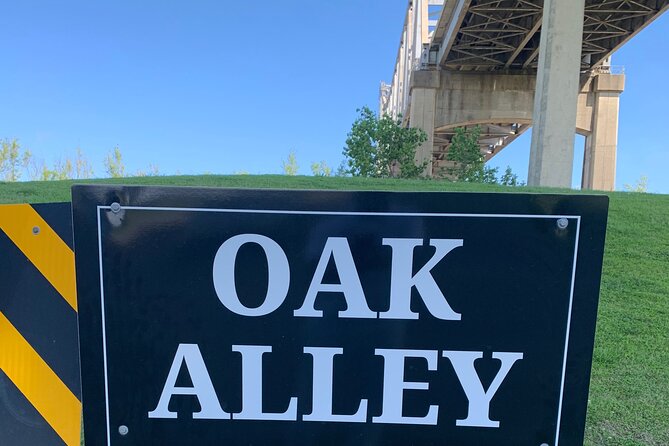 Oak Alley Plantation Admission with Tour and Transportation - Entering Oak Alley: The 800-Foot Live-Oak Avenue Moment