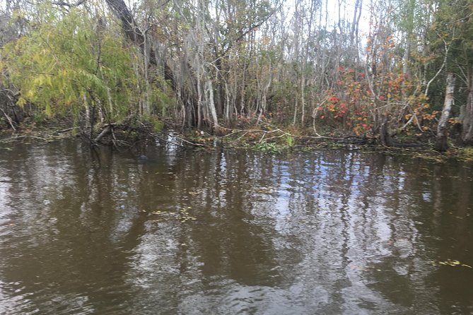 Oak Alley Plantation and Airboat Combo Tour by Bus - The airboat swamp tour: wildlife spotting and how weather changes plans