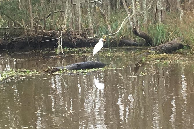 Oak Alley Plantation and Airboat Combo Tour by Bus - Who this tour fits best (and who should choose another plan)
