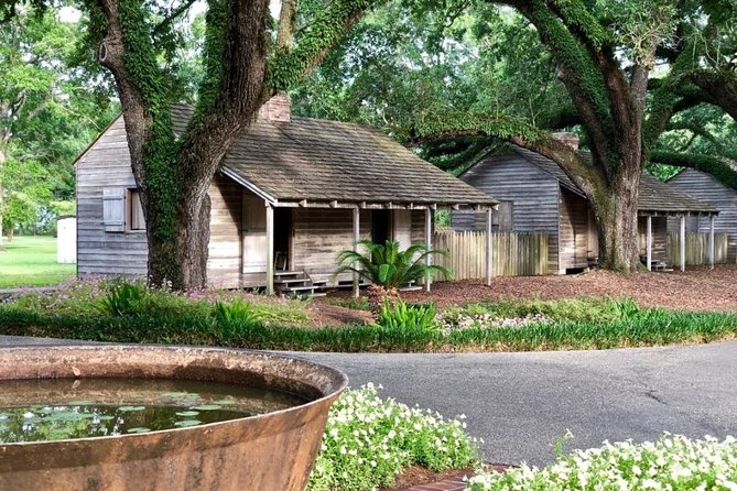 Oak Alley Plantation and Large Airboat Swamp Tour from New Orleans - Oak Alley Plantation: Walking the 300-Year-Old Oak Canopy