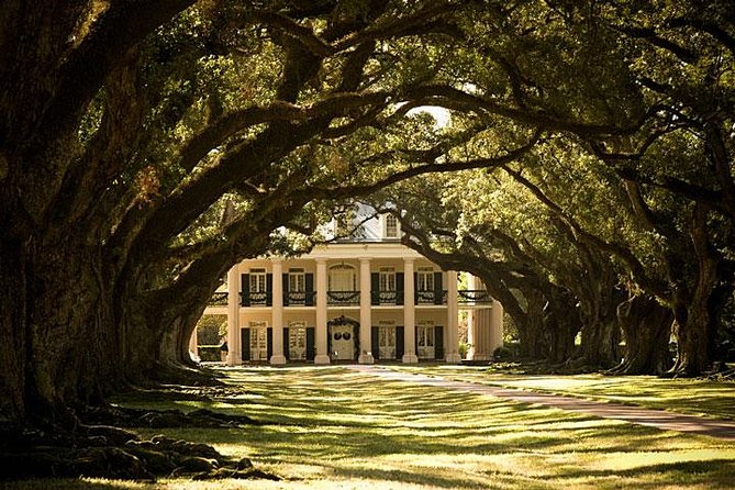 Oak Alley Plantation and New Orleans City and Cemetery Tour - Oak Alley Plantation: 28 oak trees, Greek Revival style, and the house tour walk