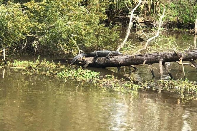 Oak Alley Plantation and Small Airboat Tour from New Orleans - Small Group Airboat Sizes: What You Really Gain
