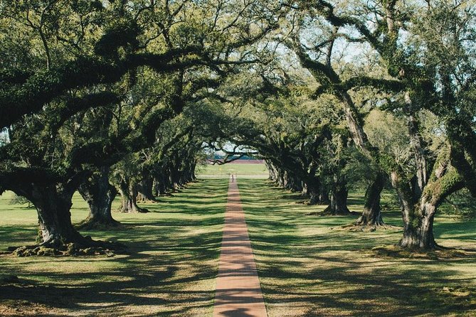 Oak Alley Plantation and Small Airboat Tour from New Orleans - Price and Value: When $185 Feels Fair