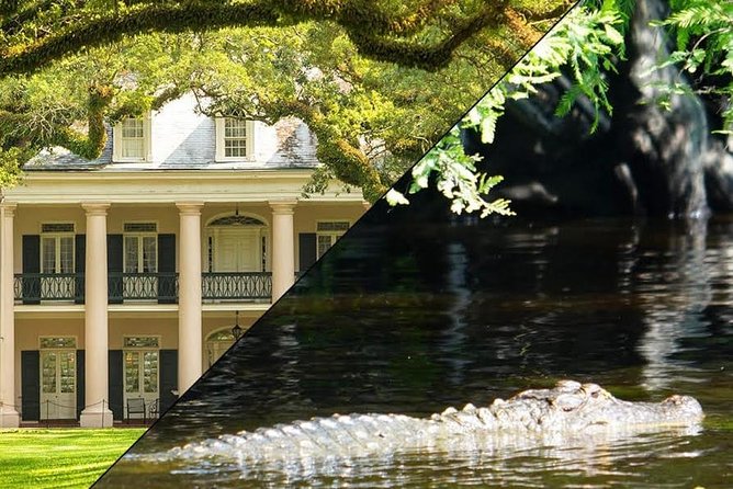 Oak Alley Plantation and Swamp Boat Tour from New Orleans - Barataria Preserve Swamp Boat Tour: Captains, Mossy Water, and Wildlife That Won’t Follow a Script