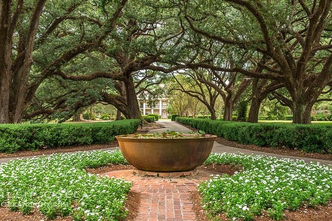 Oak Alley Plantation Half-Day Tour from New Orleans - Pickup and Timing: The 8:15 AM Start That Matters