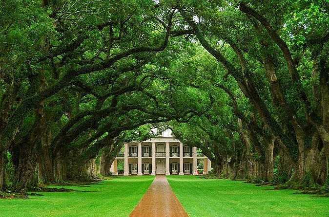 Oak Alley Plantation Half-Day Tour from New Orleans - 25 Acres to Wander: Oaks, Exhibits, and Quick Lunch Runs