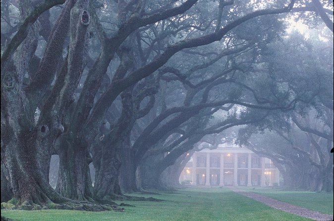 Oak Alley Plantation Tour with Pickup from New Orleans - Oak Alley Plantation for About Three Hours: Trees, Exhibits, and the Big House