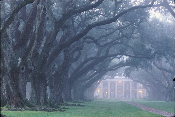 Oak Alley Plantation Tour with Pickup from New Orleans - Who This Tour Fits Best (and Who Might Want a Different Plan)
