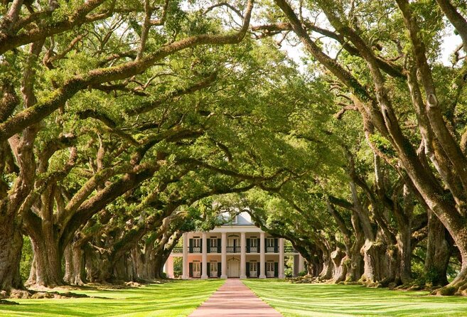 Oak Alley Plantation Tour with Transportation - Key things I’d zero in on before you go