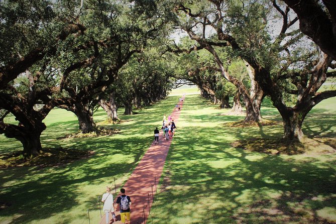 Oak Alley Plantation Tour with Transportation - From the French Quarter to Great River Road: the drive matters