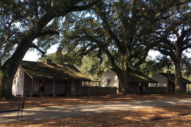 Oak Alley Plantation Tour with Transportation - Oak Alley transportation and timing: how to keep the day smooth