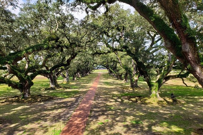 Oak Alley Plantation Tour with Transportation - Price and value: is $86.31 a fair deal?
