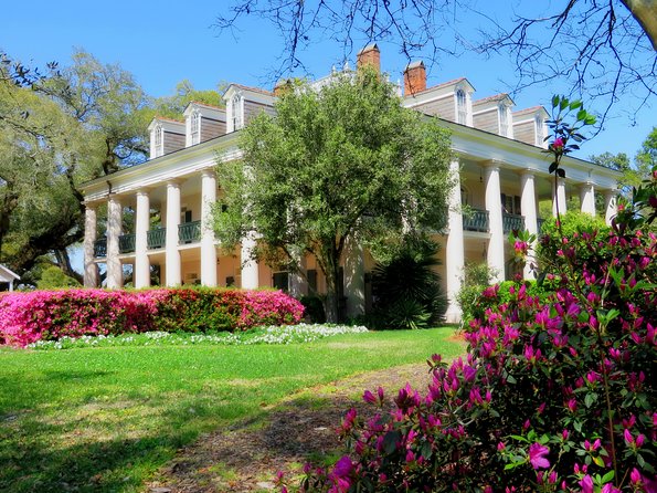 Oak Alley Plantation Tour with Transportation from New Orleans - Time on Site: How the Schedule Shapes Your Photos and Walking