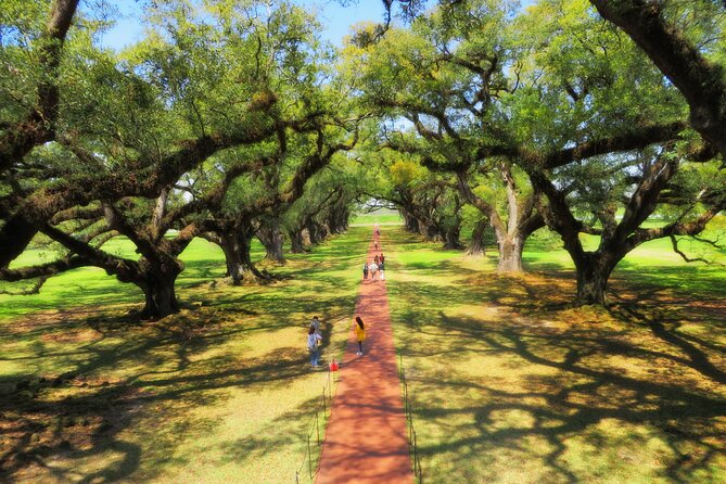 Oak Alley Plantation Tour with Transportation from New Orleans - Bus Comfort, Driver Commentary, and What Makes the Ride Feel Worth It