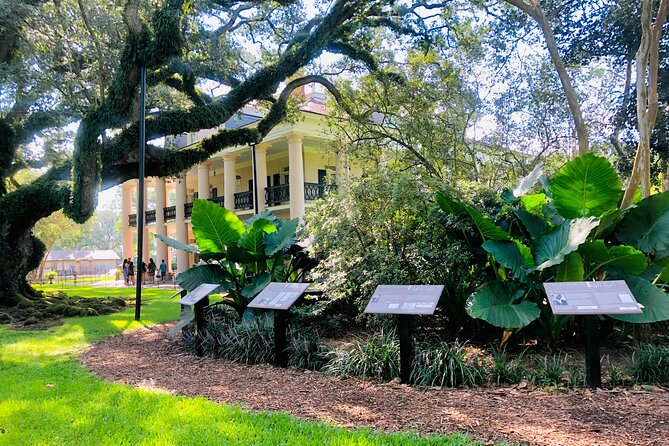 Oak Alley Plantation Tour with Transportation from New Orleans - Who This Tour Fits Best (And Who Might Want Another Option)