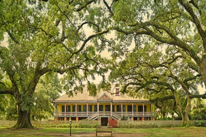 Private Airboat Ride and Plantations Tour with Gourmet Lunch from New Orleans - Price and Value: When $3,060 Makes Sense for Up to 12