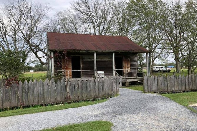 Private Airboat Ride and Plantations Tour with Gourmet Lunch from New Orleans - Comfort, Safety, and What Could Disrupt the Day