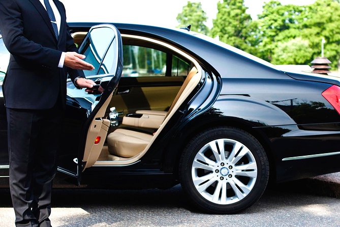 Private Chauffeured and Historian Guided City Tour of New Orleans - A private historian-led drive that actually changes what you notice