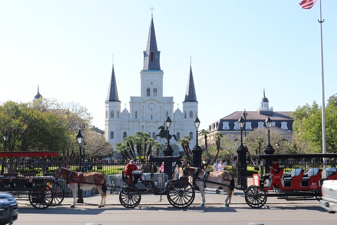 Private New Orleans City and Cemetery Bus Tour Up to 24 People - Value and Pricing: When $800 Makes Sense