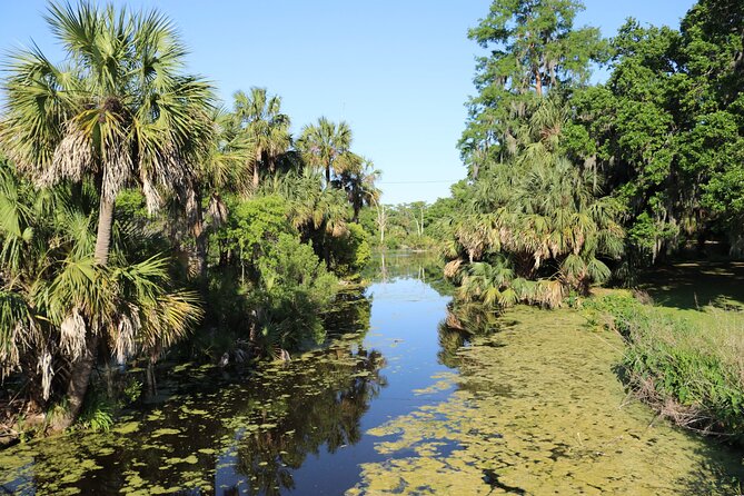 Private New Orleans City and Cemetery Bus Tour Up to 24 People - The Drive Through the American Sector and Lake Pontchartrain