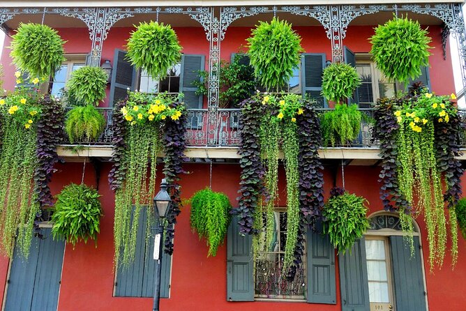 Private New Orleans City Tour with Local Expert Guide - City Park and Audubon Park: big-park views without losing tour time