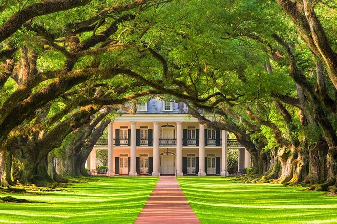 Small Airboat and Oak Alley Plantation Tour from New Orleans - Ragin Cajun Small Airboat: Fast Runs, Gators, and Captain Talk