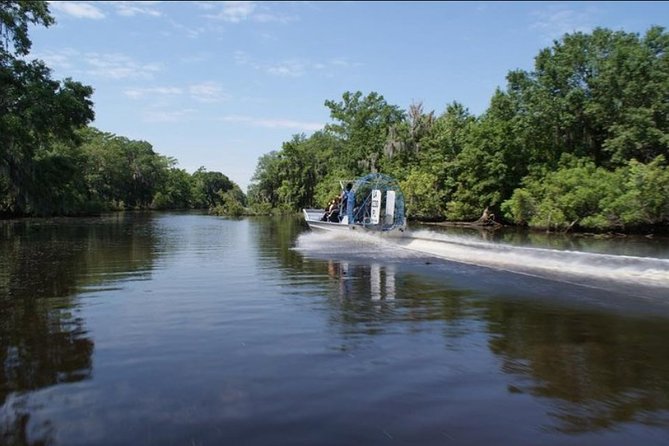 Small-Group Airboat Swamp Tour with Downtown New Orleans Pickup - Small-Group Comfort: Why Nine Seats Makes This Worth It
