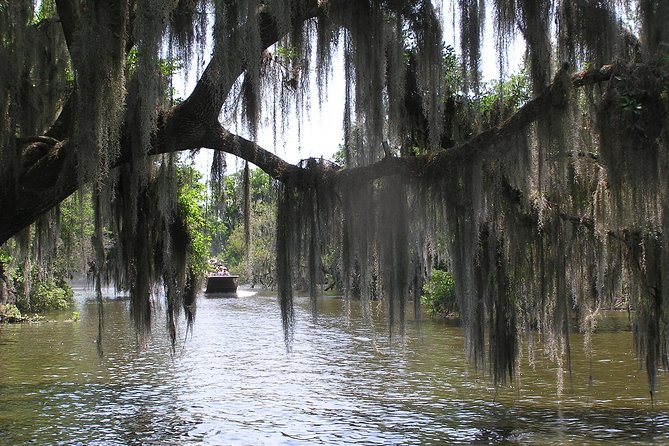 Small-Group Bayou Airboat Ride with Transport from New Orleans - The 1.5-hour airboat ride: speeds up to 45 mph and close wildlife encounters