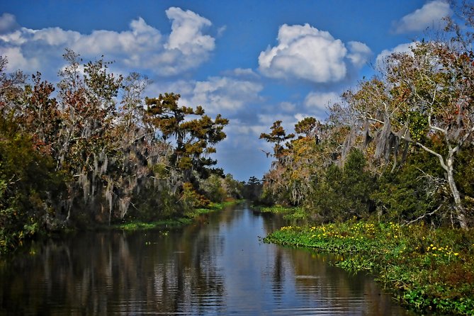 Small-Group Bayou Airboat Ride with Transport from New Orleans - Price and value: is $130 a smart use of your New Orleans day?