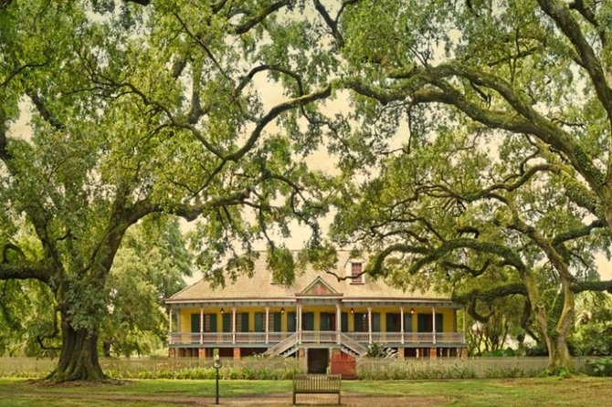 Small-Group Laura and Whitney Plantation Tour from New Orleans - Key Highlights You’ll Actually Feel
