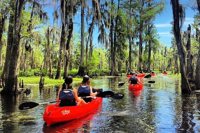 Small-Group Manchac Swamp Kayak Tour - Key Things That Make This Kayak Tour Worth Your Time