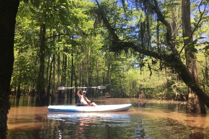 Small-Group Manchac Swamp Kayak Tour - A Bayou Escape from New Orleans, Up Close and On Purpose