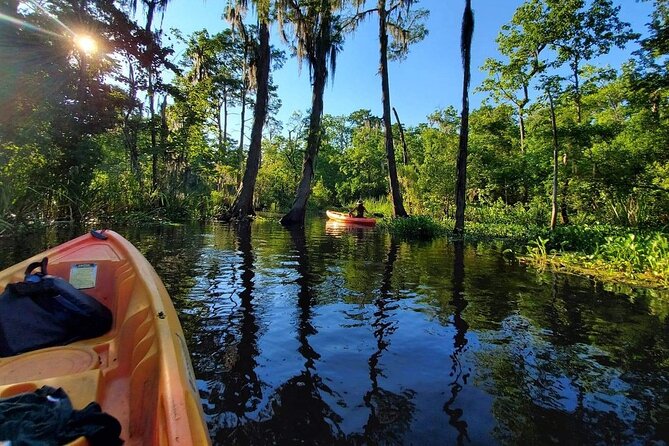 Small-Group Manchac Swamp Kayak Tour - Wildlife Spotting: How to Maximize Your Chances Without Stress