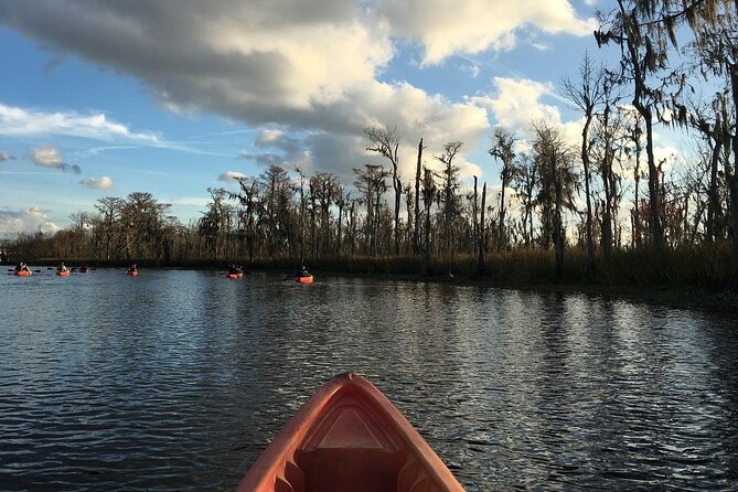 Small-Group Manchac Swamp Kayak Tour - Guide Quality: Why MJ, AJ, Ali, Nick, and Others Get Mentioned