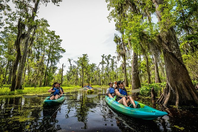 Small-Group Manchac Swamp Kayak Tour with Local Guide - Key Things You’ll Notice on This Tour