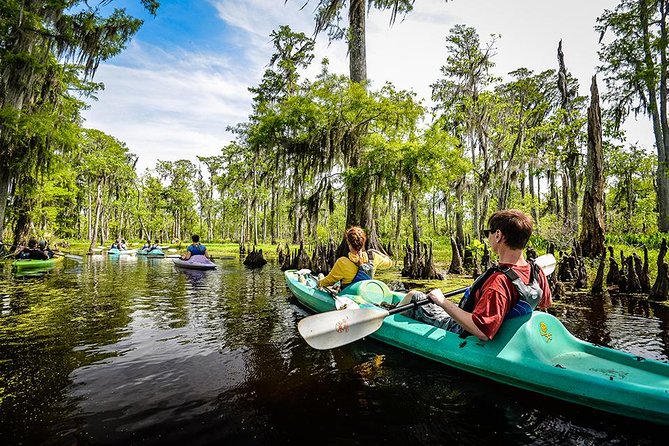 Small-Group Manchac Swamp Kayak Tour with Local Guide - Getting to Wild Louisiana Launch: Meet, Learn, Then Paddle