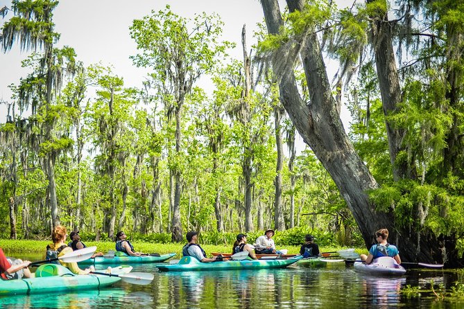 Small-Group Manchac Swamp Kayak Tour with Local Guide - Who This Tour Is For (and Who Might Want a Different Day Plan)