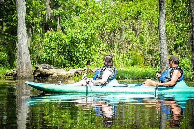 Small-Group Manchac Swamp Kayak Tour with Local Guide - Stop by Stop: What You’ll Do and Why It Matters